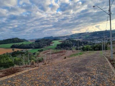 Terreno para Venda, em Vitorino, bairro LOTEAMENTO DONA PERPETUA