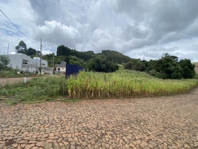 Terreno para Venda, em Vitorino, bairro LOTEAMENTO DONA PERPETUA