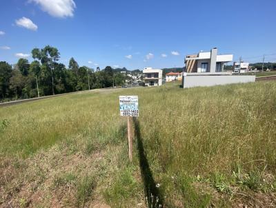 Terreno para Venda, em Vitorino, bairro Fornari