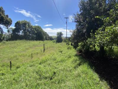 Chcara para Venda, em Vitorino, bairro 