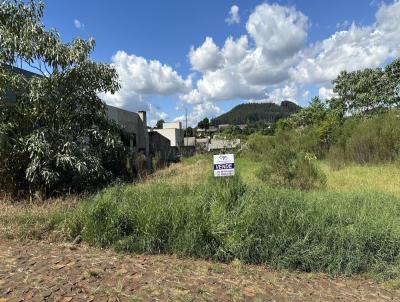 Terreno para Venda, em Vitorino, bairro Loteamento Mori