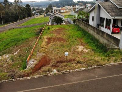 Terreno para Venda, em Vitorino, bairro Loteamento Fornari