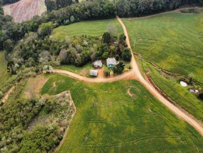 rea Rural para Venda, em Vitorino, bairro 